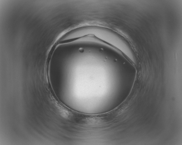 X0000054411272200508121716