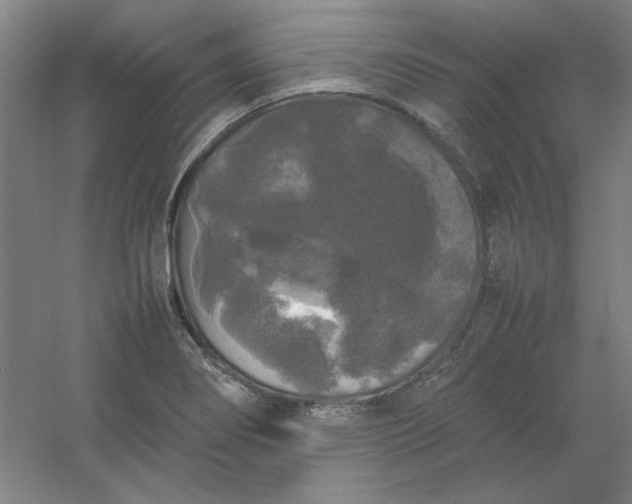 X0000054411274200508121716