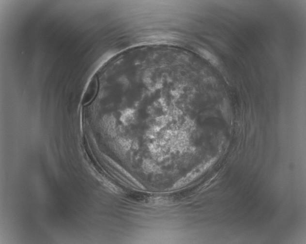 X0000054411275200508121716