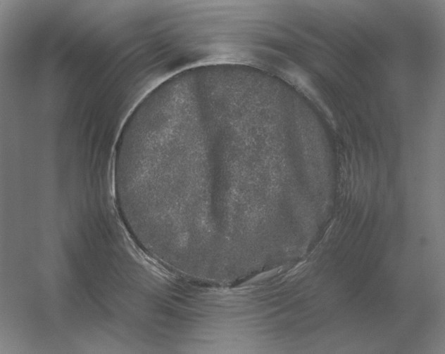 X0000054411276200508121716