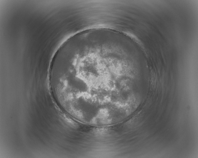 X0000054411278200508121715