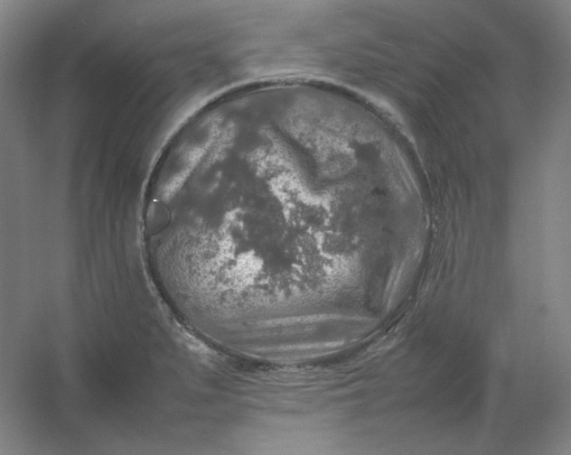 X0000054411279200508121715