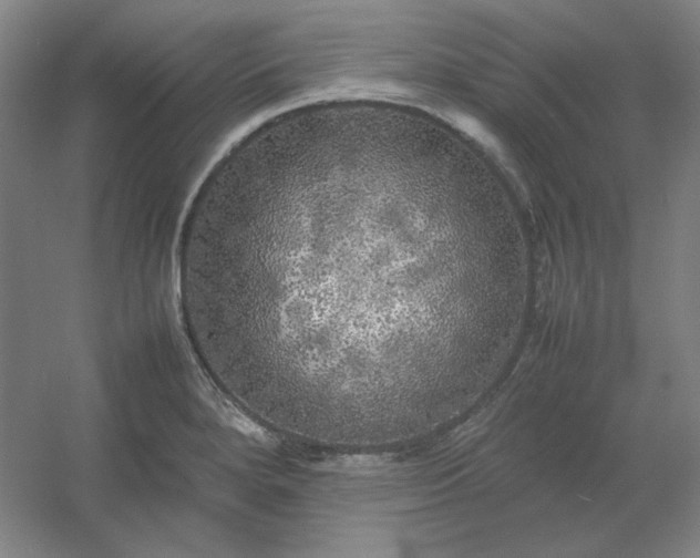 X0000054411280200508121715