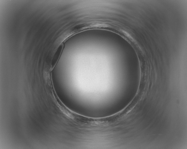 X0000054411281200508121715