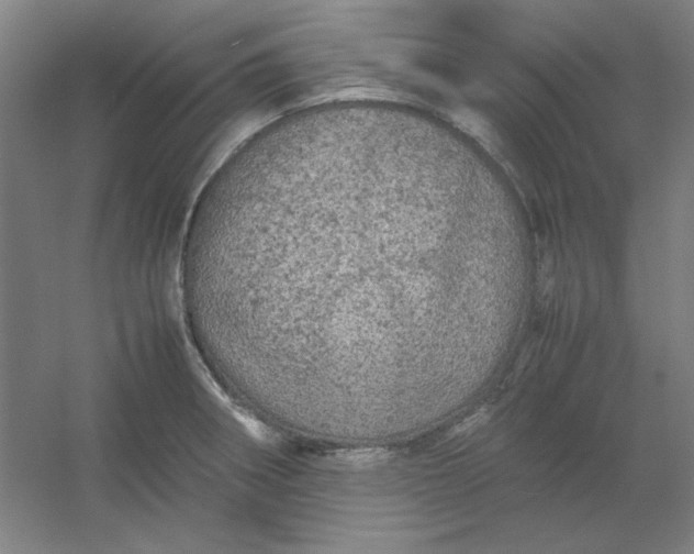 X0000054411282200508121715