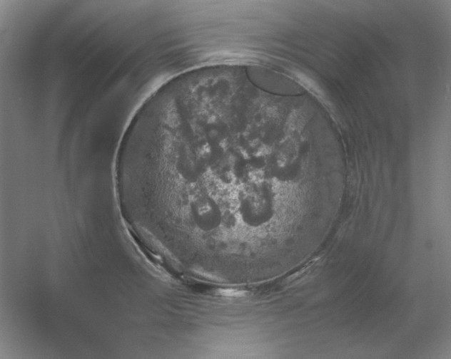 X0000054411283200508121715