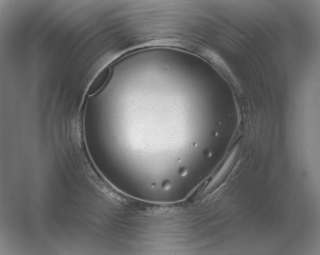 X0000054411284200508121715