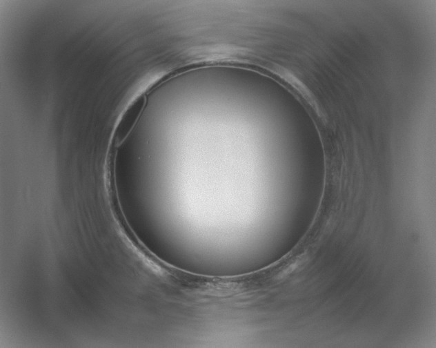 X0000054411285200508121715