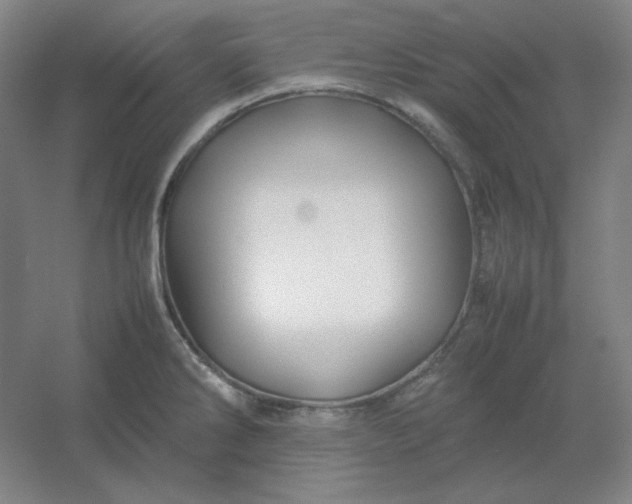 X0000054411286200508121715