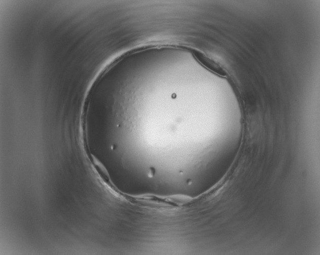 X0000054411288200508121715