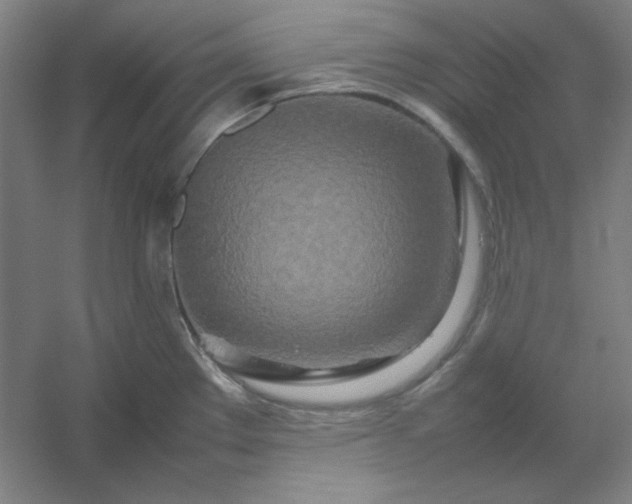 X0000054411289200508121715