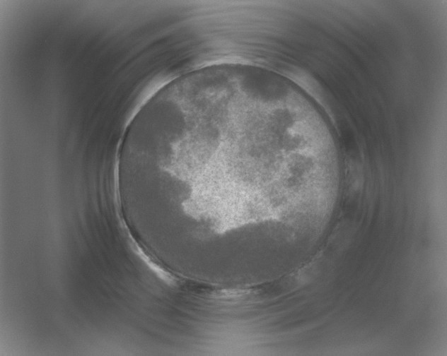 X0000054411290200508121715