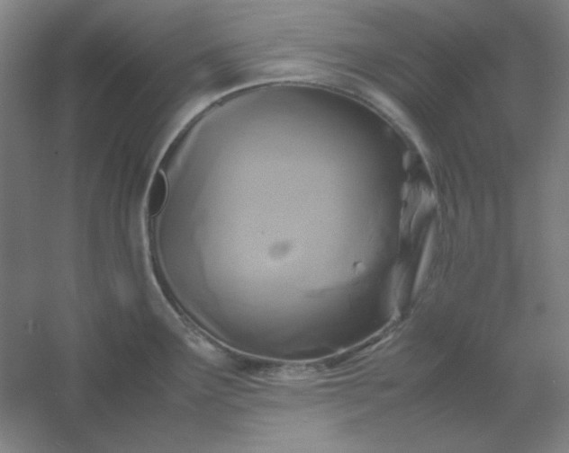 X0000054411291200508121715