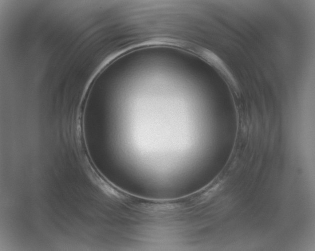 X0000054411292200508121715