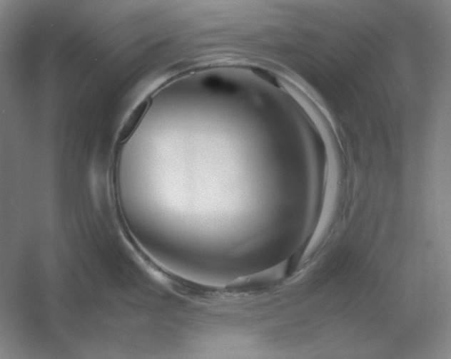 X0000054411293200508121715