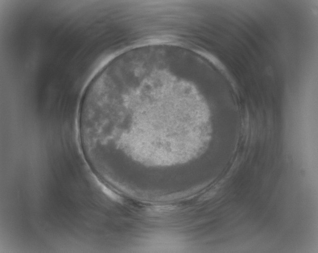 X0000054411294200508121715