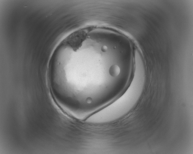 X0000054411295200508121715