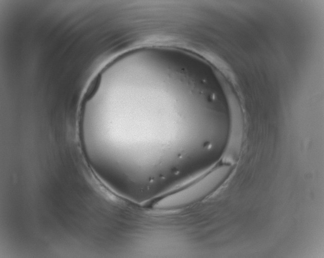 X0000054411296200508121715