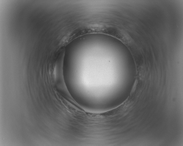 X0000054411298200508121714