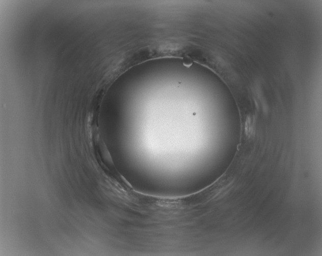 X0000054411299200508121714