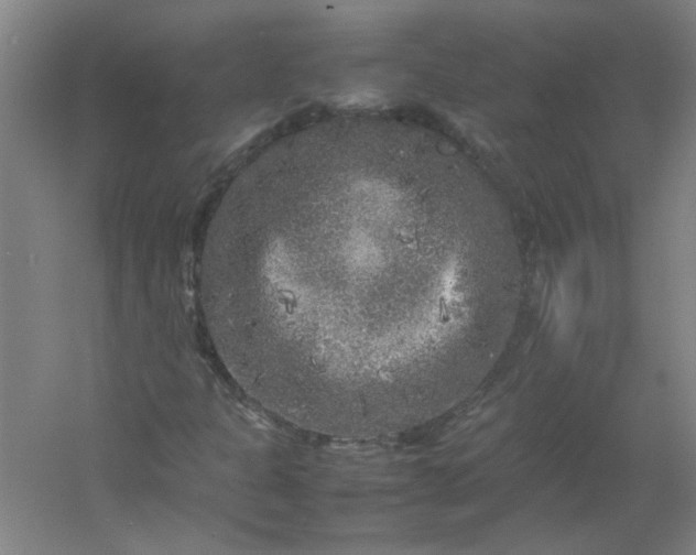 X0000054411301200508121714