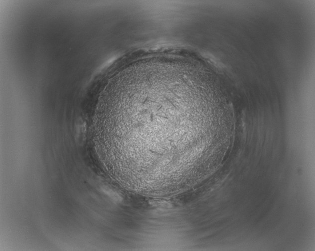 X0000054411302200508121714