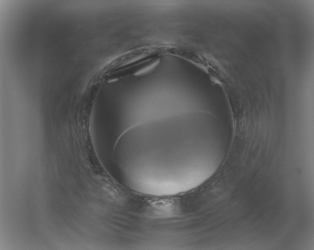 X0000054411303200508121714