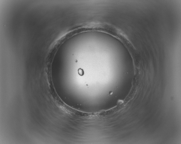 X0000054411304200508121714