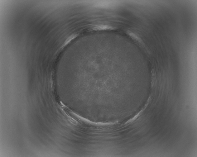 X0000054411305200508121714