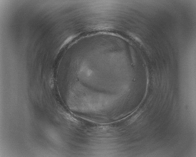 X0000054411306200508121714