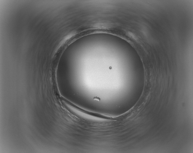 X0000054411307200508121715