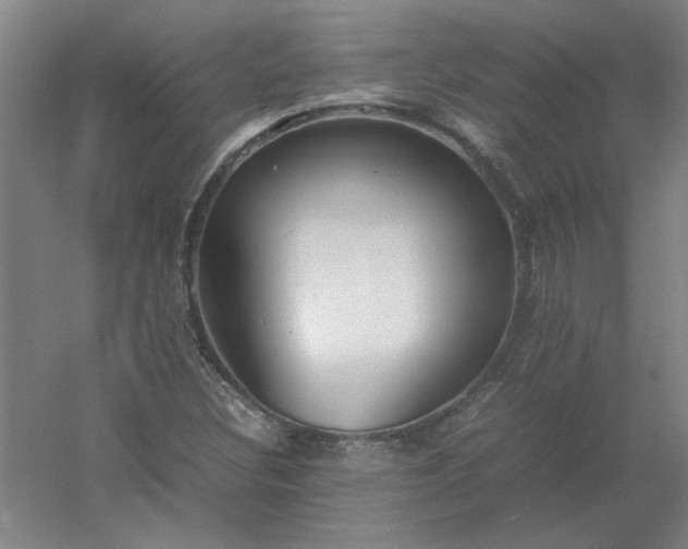 X0000054411308200508121715