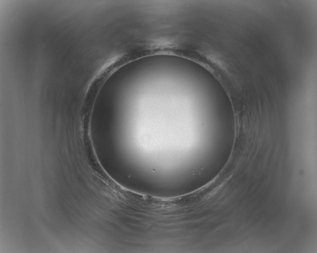 X0000054411309200508121715