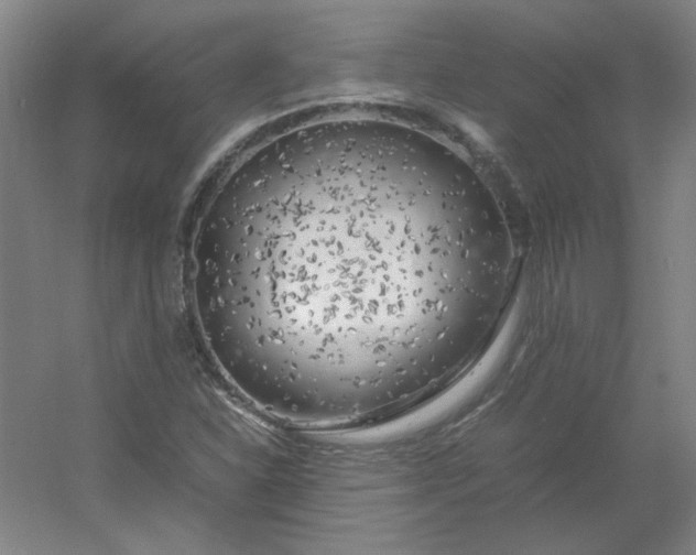 X0000054411310200508121715