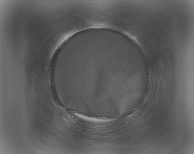 X0000054411311200508121715