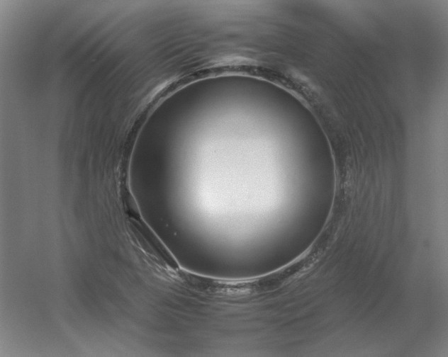 X0000054411313200508121715