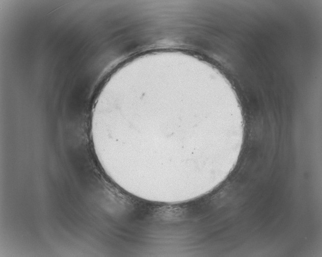 X0000054411314200508121715