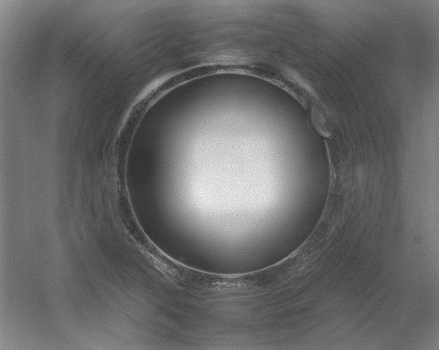 X0000054411315200508121715