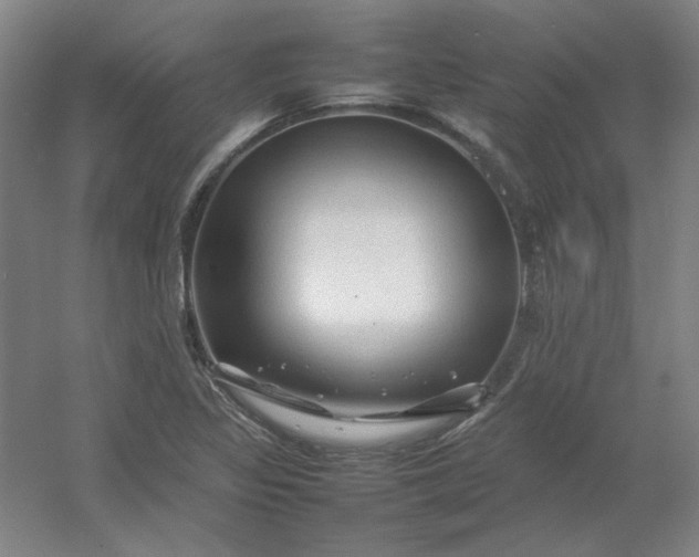 X0000054411317200508121715