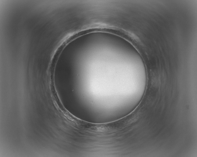 X0000054411318200508121715