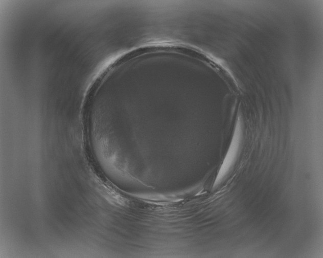 X0000054411319200508121715