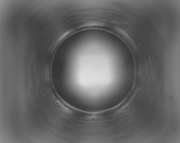 X0000054411321200508121715