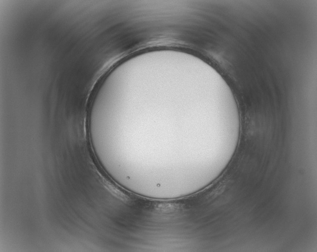 X0000054411322200508121715