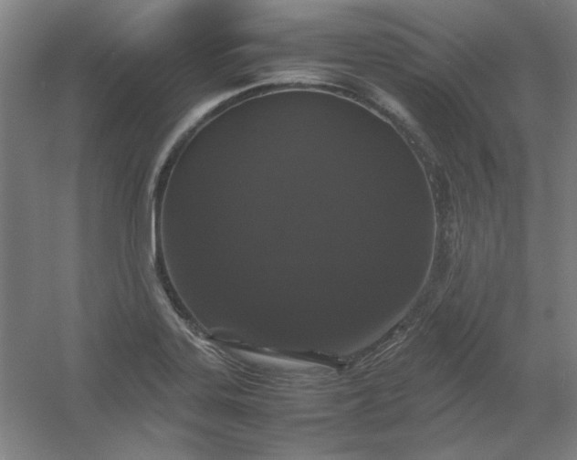 X0000054411323200508121715