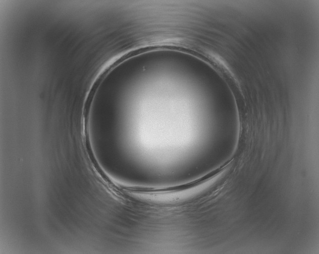 X0000054411324200508121715