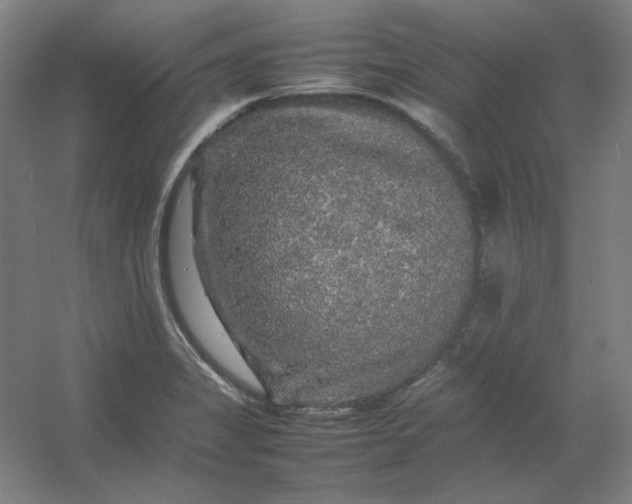 X0000054411325200508121715