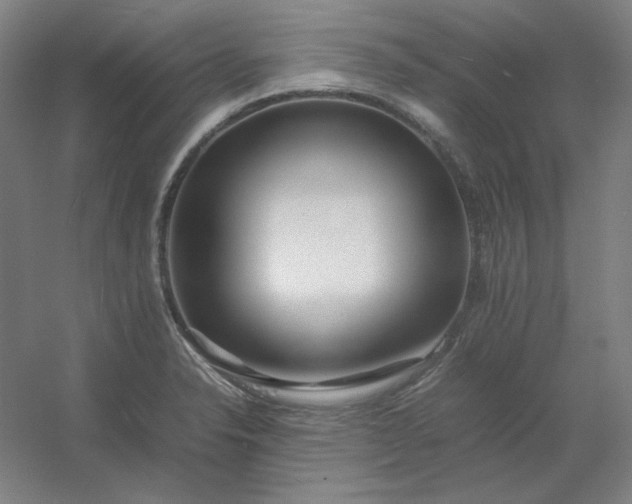 X0000054411326200508121715