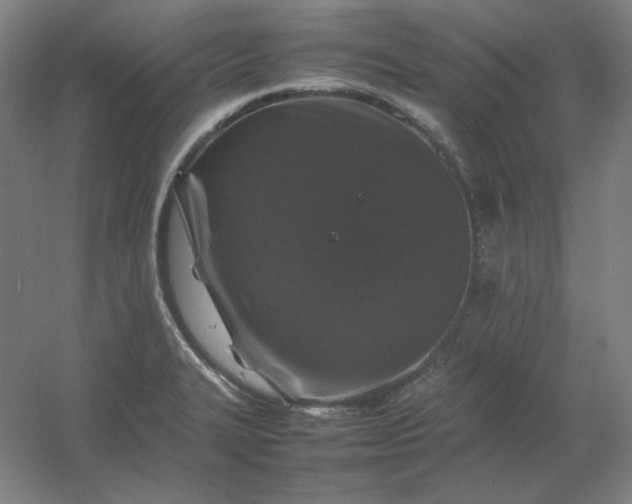 X0000054411327200508121715