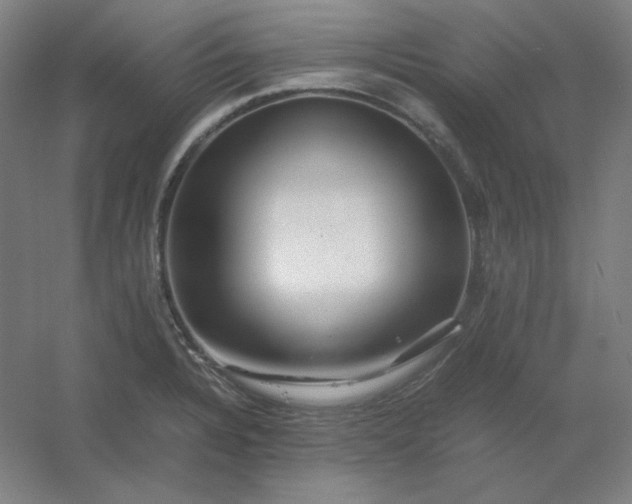 X0000054411328200508121715