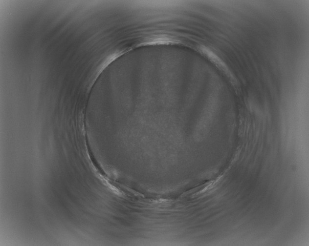 X0000054411329200508121715